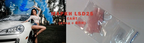 ПСИЛОЦИБИНОВЫЕ ГРИБЫ Вязьма