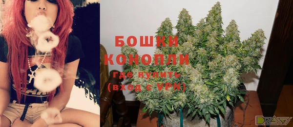 MESCALINE Вяземский