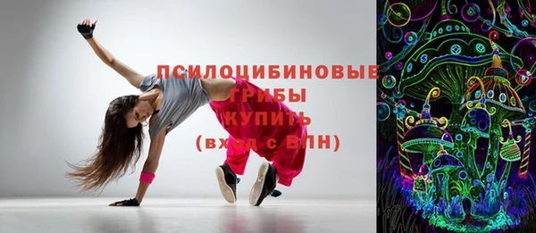 ПСИЛОЦИБИНОВЫЕ ГРИБЫ Вязьма