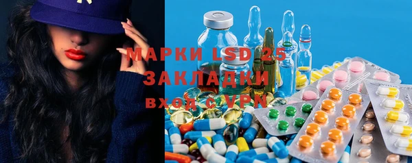 ПСИЛОЦИБИНОВЫЕ ГРИБЫ Вязьма