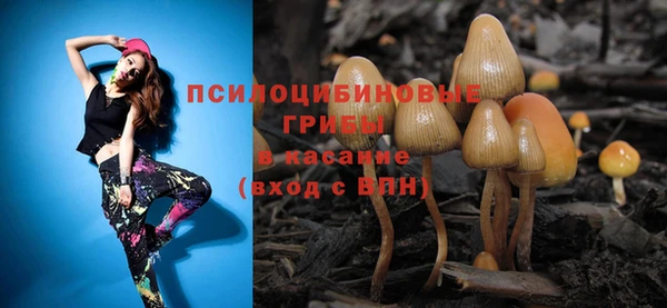 ПСИЛОЦИБИНОВЫЕ ГРИБЫ Вязьма