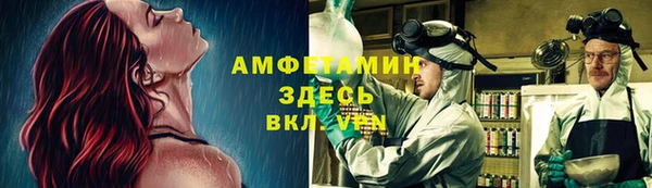 ПСИЛОЦИБИНОВЫЕ ГРИБЫ Вязьма