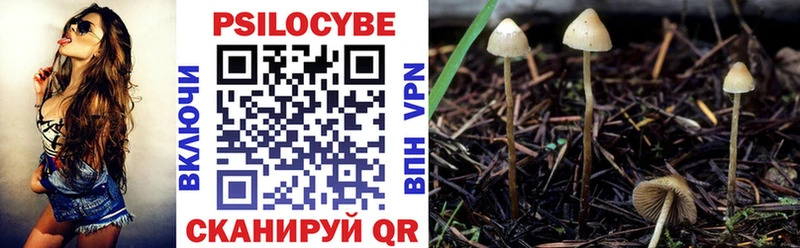Галлюциногенные грибы прущие грибы  omg зеркало  Улан-Удэ  купить закладку 